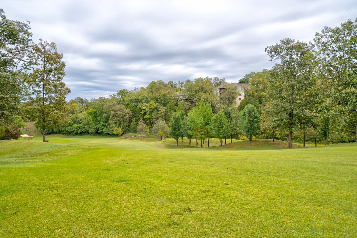 This exterior image features a wide expanse of lush green grass surrounded by tall trees, with a distant building adding a sense of place. The scene is tranquil and offers clear sightlines for walking, playing, or simply enjoying the outdoors—ideal for pet owners looking for open spaces to explore with their dogs.